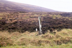 The Lyde Stones