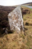 The Lyde Stones