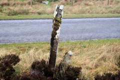 The Lyde Stones