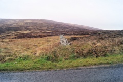 The Lyde Stones