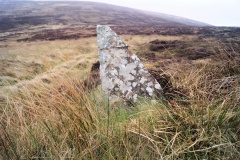 The Lyde Stones