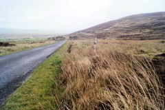 The Lyde Stones