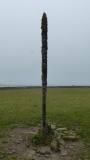 Stan Stane, North Ronaldsay