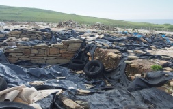 Links of Noltland