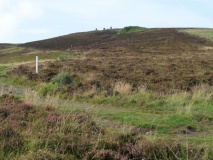 Cuween Hill - PID:196682