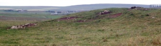 Staney Hill