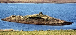 Wasdale (Orkney) submitted by howar