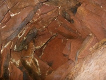 Vinquoy