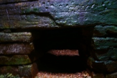 Holm of Papa Westray South