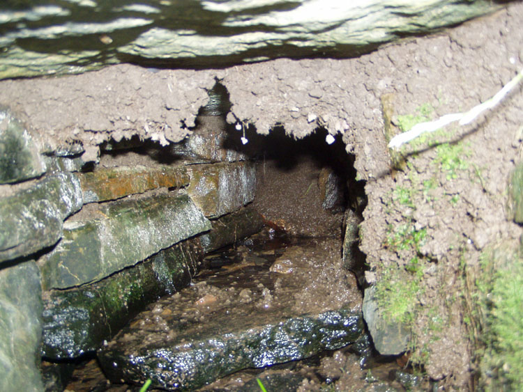 Crantit souterrain
