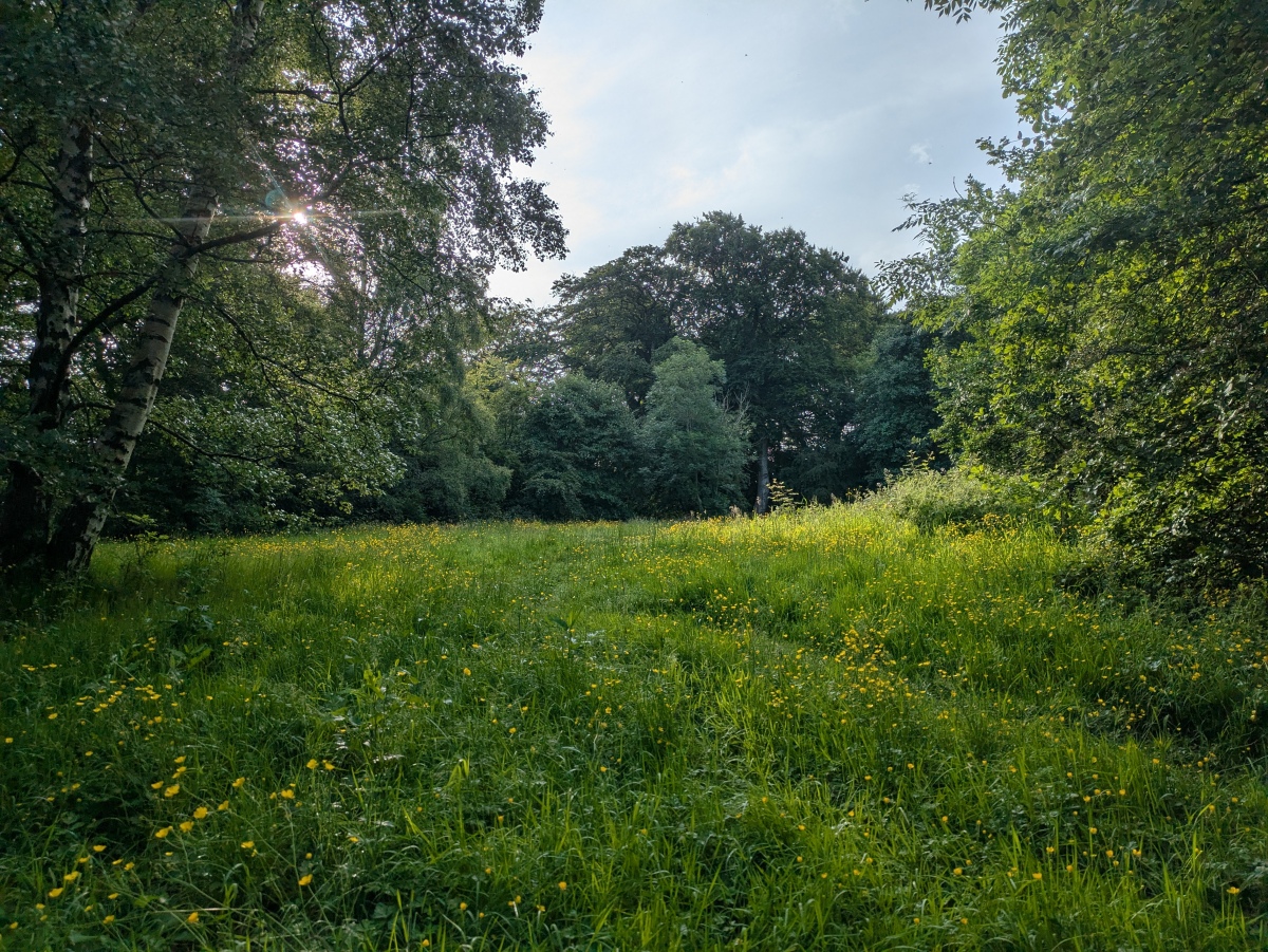 Queen's Park Earthworks