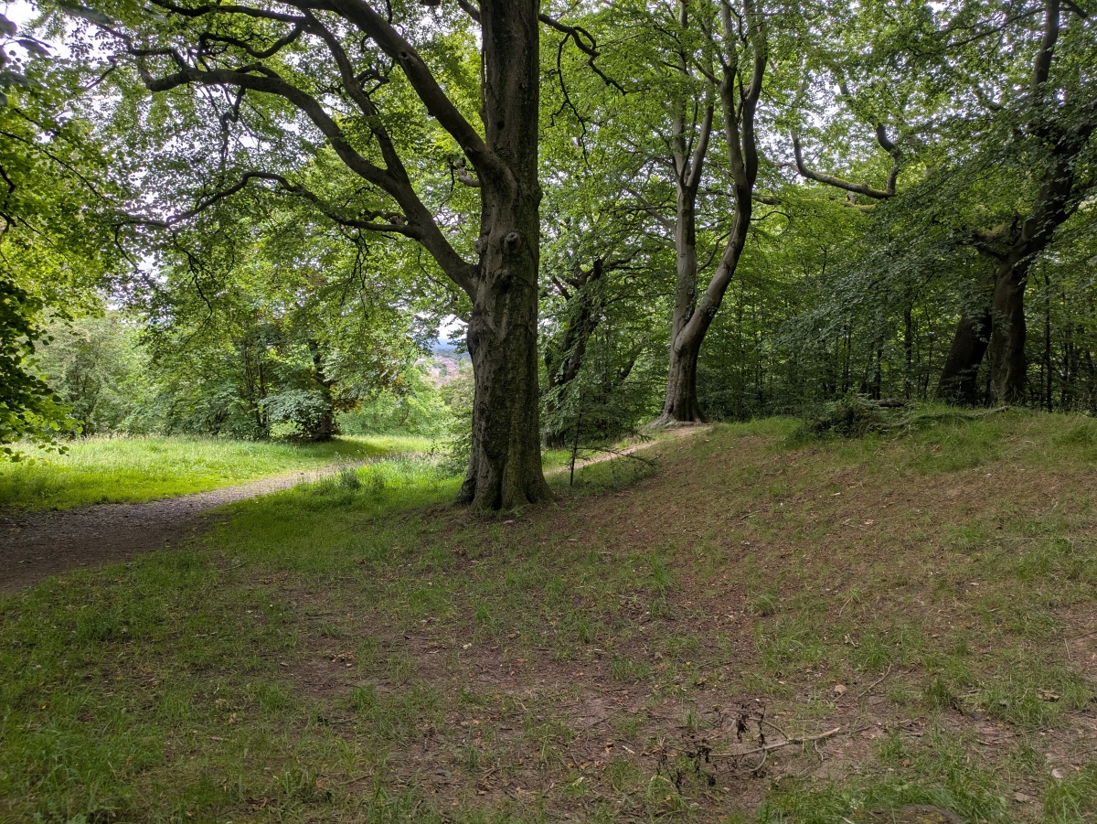 Queen's Park Earthworks
