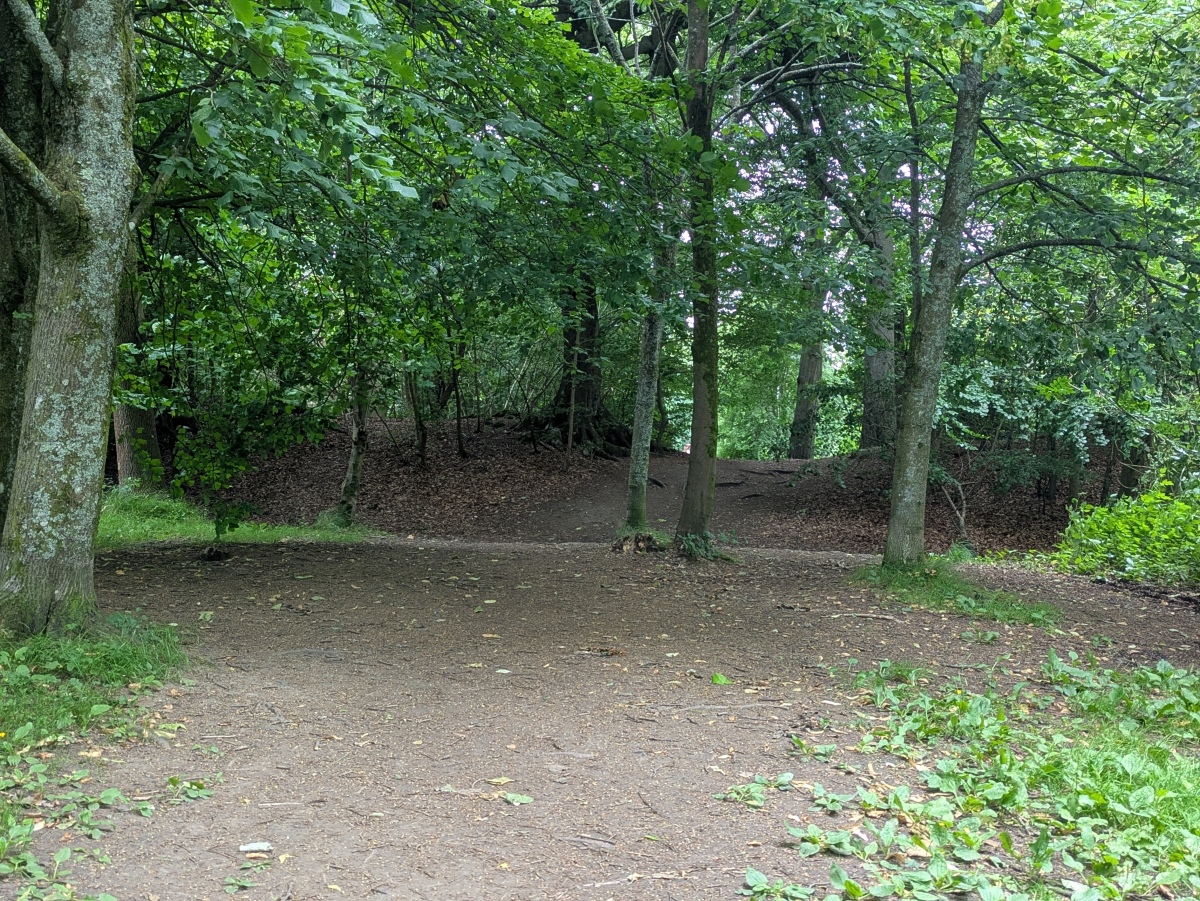 Queen's Park Earthworks