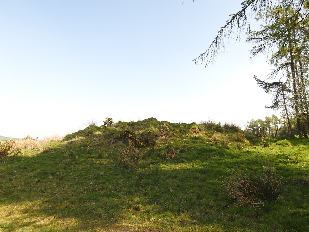 Round Hill (Cameron home farm cairn)