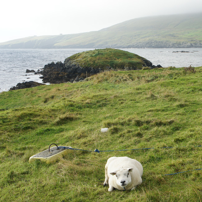 Click for the gallery page to add comments and vote (PID:125097) Broch of Mail