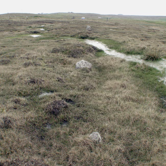 Click for the gallery page to add comments and vote (PID:10821) Giant's Stones Row (Shetland)