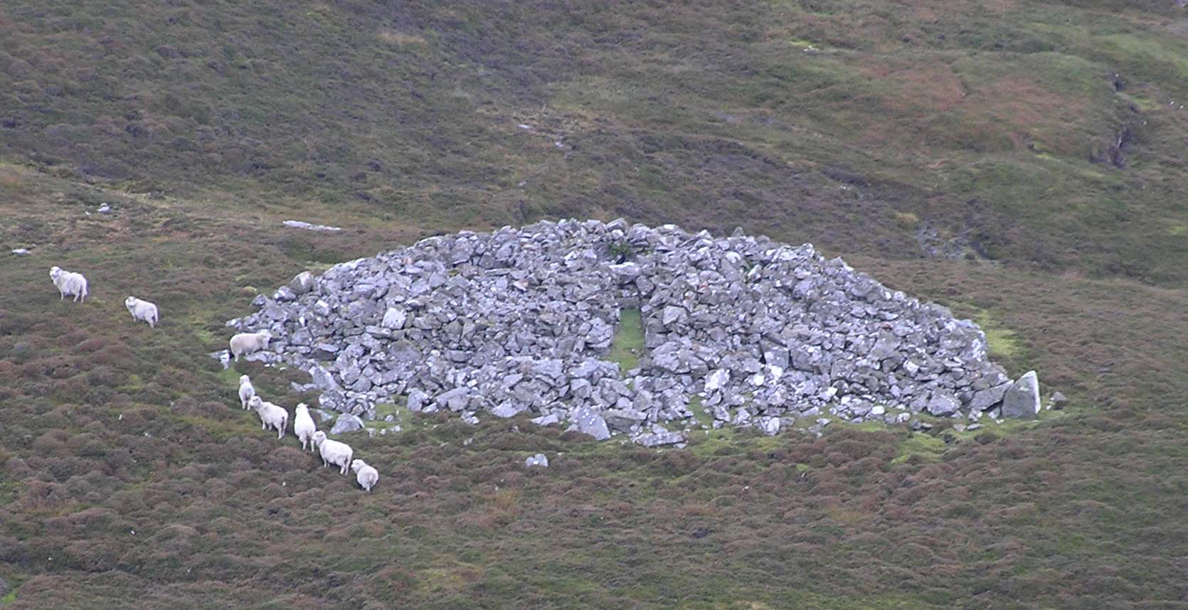 Pund's Water, looking into the east-facing opening.

The sheep have clearly contributed significantly to spreading the stones around, so the original curve in the façade has been lost.
