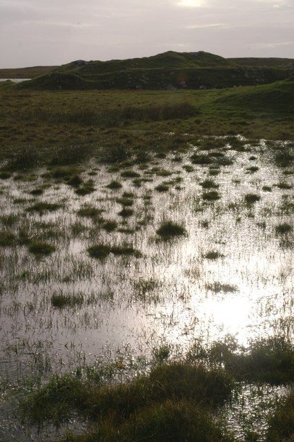 Click for the gallery page to add comments and vote (PID:56069) Snabrough broch