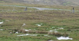 Giant's Stones Row (Shetland)