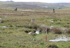 Giant's Stones Row (Shetland)