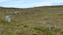 Stanydale standing stones