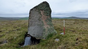Yahaarwell