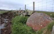 Dalsetter/Tønsberg Erratic - PID:243278