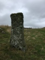 Stanesland standing stone - PID:186813