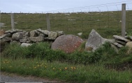 Dalsetter/Tønsberg Erratic - PID:243279