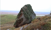 Glacial Erratic - PID:242724