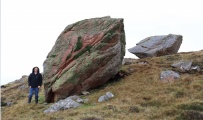 Glacial Erratic - PID:242681