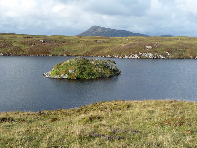 An ancient fort in Loch Hornaraigh. The hill in the background is Eabhal.

Copyright John Allan and licensed for reuse under this Creative Commons Licence.
