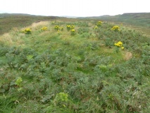 Dun Adhamh
