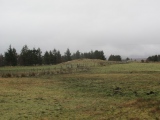 Achadh A'chuirn - PID:161758