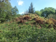 Cnocan nan Gobhar
