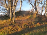 Corry chambered cairn - PID:161632