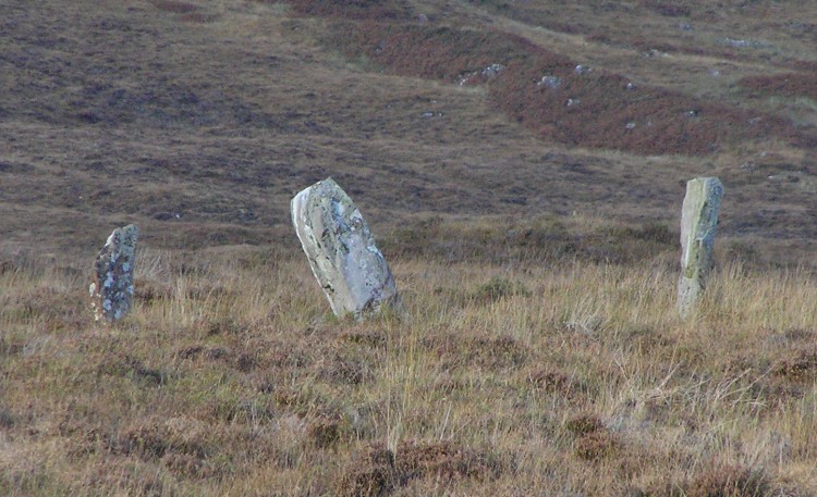 Click for the gallery page to add comments and vote (PID:69314) Na Clachan Bhreige