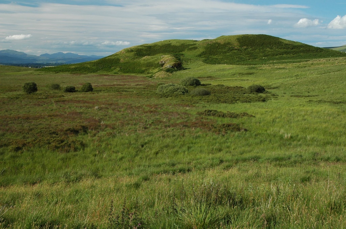 Quinloch Muir Hillfort, Stirling | Megalithic Portal