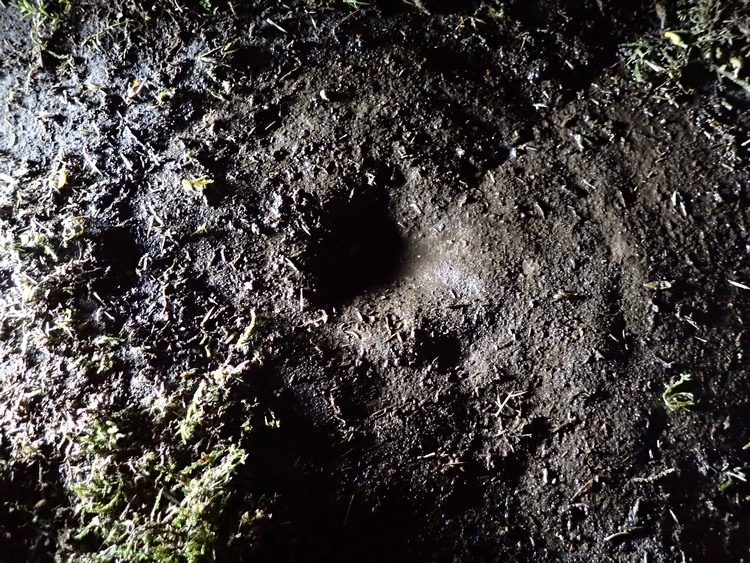 Castleton 5