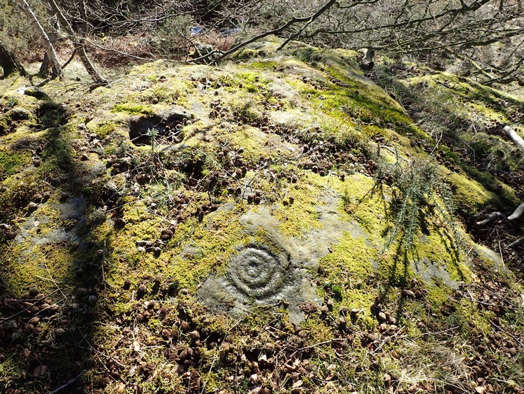 Castleton 8, Stirling | Megalithic Portal