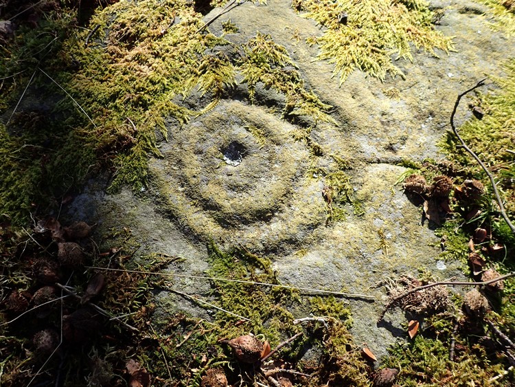 Castleton 8