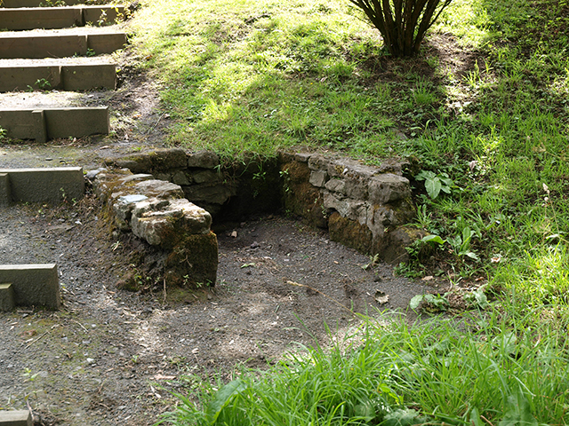 Click for the gallery page to add comments and vote (PID:157794) Chapel Well (Cambusbarron)