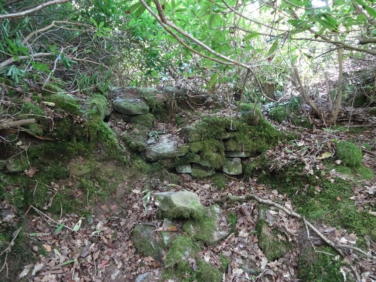 Leckie Broch