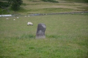 Broadgate Farm (Strathblane) - PID:215087
