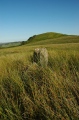 Quinloch Muir Stones - PID:214984