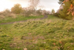King's Park Cup and Rings