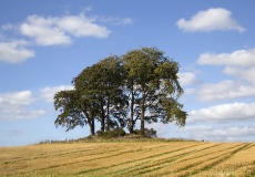 Craighead Cairn
