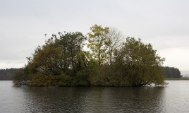 Lake of Menteith Crannogs