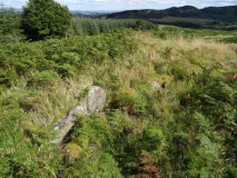 Castlehill Wood Dun