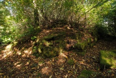 Leckie Broch